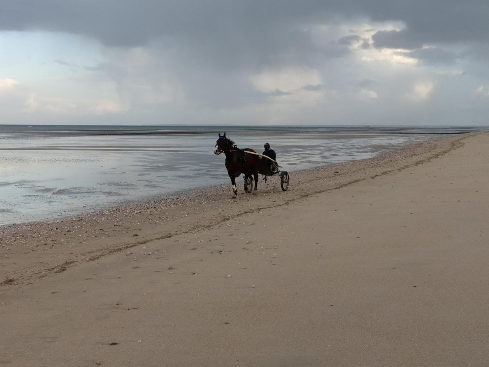 Gites En Normandie En Front De Mer A Asnelles , 3Km D'Arromanches, 10Km De Bayeux Exterior foto